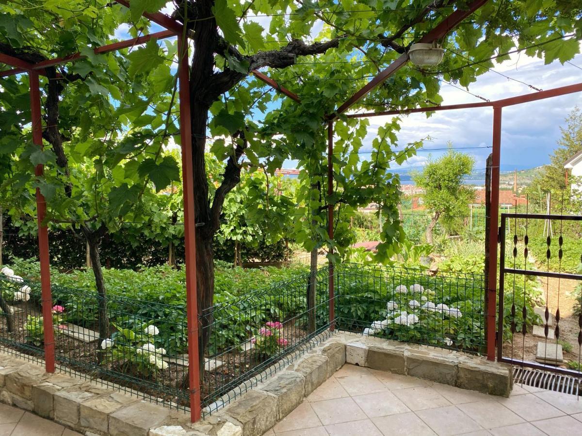 Apartment Gregoric Izola Dış mekan fotoğraf
