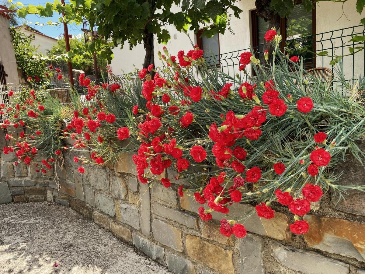 Apartment Gregoric Izola Dış mekan fotoğraf